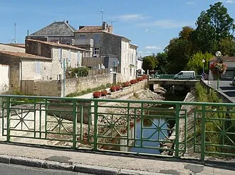 Saujon (17600)
